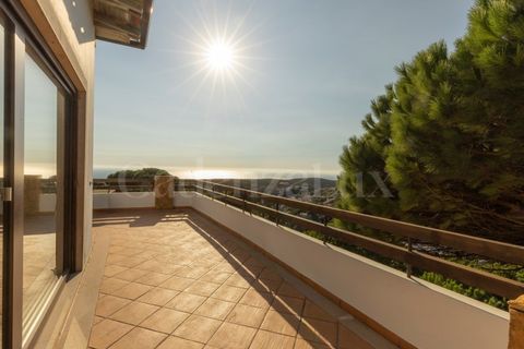 Villa i Alcabideche, Lisbon, Alcabideche - € 2.800.000 | Ref: CLRV-189/2025 - foto 18