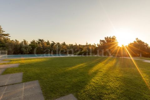 Villa i Alcabideche, Lisbon, Alcabideche - € 2.800.000 | Ref: CLRV-189/2025 - foto 31
