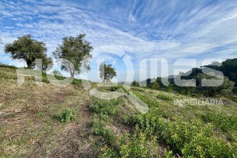 Helårsgrund i Coimbra, Coimbra, Coimbra - € 179.000 | Ref: HMSÒL_45 - foto 13