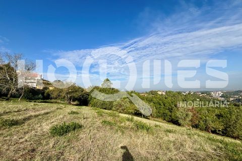 Helårsgrund i Coimbra, Coimbra, Coimbra - € 179.000 | Ref: HMSÒL_45 - foto 15