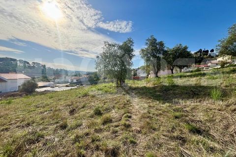 Helårsgrund i Coimbra, Coimbra, Coimbra - € 179.000 | Ref: HMSÒL_45 - foto 23
