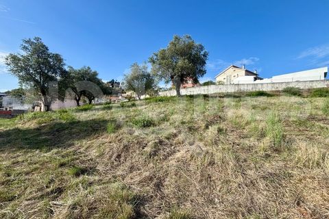 Helårsgrund i Coimbra, Coimbra, Coimbra - € 179.000 | Ref: HMSÒL_45 - foto 24
