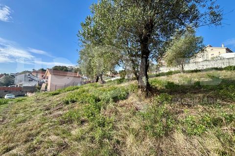 Helårsgrund i Coimbra, Coimbra, Coimbra - € 179.000 | Ref: HMSÒL_45 - foto 27