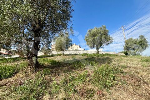 Helårsgrund i Coimbra, Coimbra, Coimbra - € 179.000 | Ref: HMSÒL_45 - foto 28