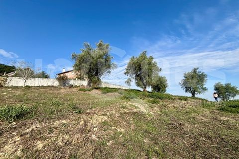 Helårsgrund i Coimbra, Coimbra, Coimbra - € 179.000 | Ref: HMSÒL_45 - foto 30