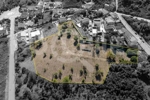 Helårsgrund i Coimbra, Coimbra, Coimbra - € 179.000 | Ref: HMSÒL_45 - foto 2