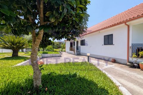 Villa i Ponte de Lima, Viana do Castelo, Ponte de Lima - € 350.000 | Ref: EHPPS118 - foto 13