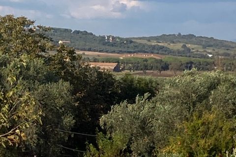 Villa i Capalbio, Grosseto, Capalbio - € 750.000 | Ref: v-215 - foto 37