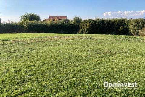 Villa i Capalbio, Grosseto, Capalbio - € 750.000 | Ref: v-215 - foto 45