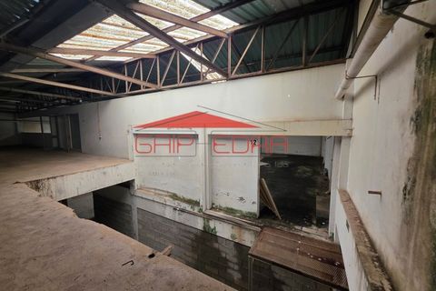 Erhvervsejendom i Silvalde, Aveiro, Silvalde - € 705.600 | Ref: AV91 - foto 22