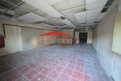 Erhvervsejendom i Paredes, Porto, Paredes - € 64.020 | Ref: AV708 - foto 5