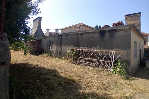 Erhvervsejendom i Barcelos, Braga, Barcelos - € 270.000 | Ref: 254250192 - foto 3