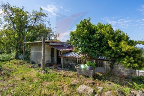 Villa a Ponte, Braga, Ponte - € 104.500 | Ref: KAZ_262 - foto 14