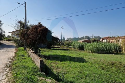 Helårsgrund i Pombal, Leiria, Pombal - € 90.000 | Ref: TER_356 - foto 1