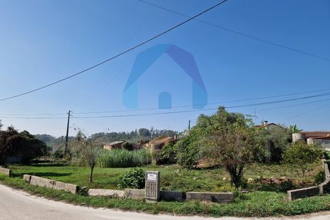 Helårsgrund i Pombal, Leiria, Pombal - € 90.000 | Ref: TER_356 - foto 3