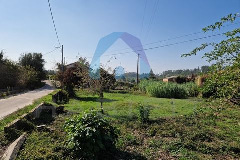 Helårsgrund i Pombal, Leiria, Pombal - € 90.000 | Ref: TER_356 - foto 4