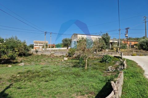 Helårsgrund i Pombal, Leiria, Pombal - € 90.000 | Ref: TER_356 - foto 5