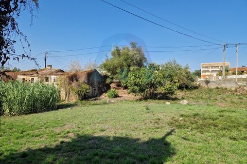 Helårsgrund i Pombal, Leiria, Pombal - € 90.000 | Ref: TER_356 - foto 6