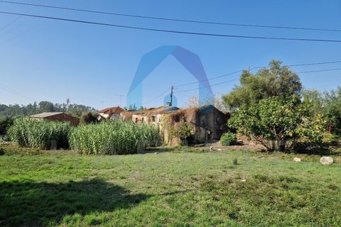 Helårsgrund i Pombal, Leiria, Pombal - € 90.000 | Ref: TER_356 - foto 7