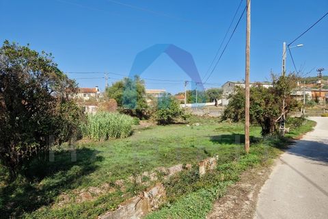 Helårsgrund i Pombal, Leiria, Pombal - € 90.000 | Ref: TER_356 - foto 8