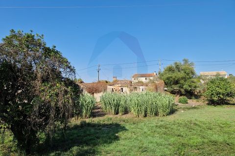 Helårsgrund i Pombal, Leiria, Pombal - € 90.000 | Ref: TER_356 - foto 9