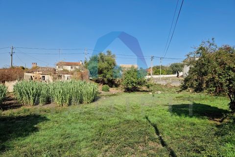 Helårsgrund i Pombal, Leiria, Pombal - € 90.000 | Ref: TER_356 - foto 10