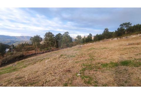 Helårsgrund i Arcos de Valdevez, Viana do Castelo, Arcos de Valdevez - € 27.000 | Ref: 123331167-558 - foto 9