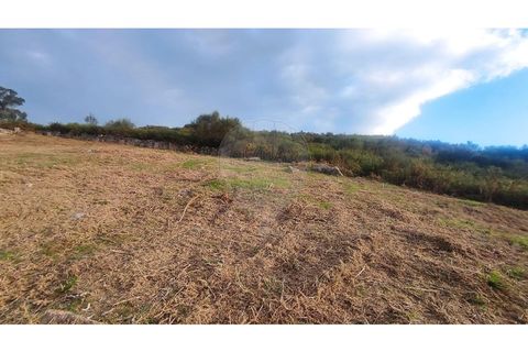 Helårsgrund i Arcos de Valdevez, Viana do Castelo, Arcos de Valdevez - € 27.000 | Ref: 123331167-558 - foto 12