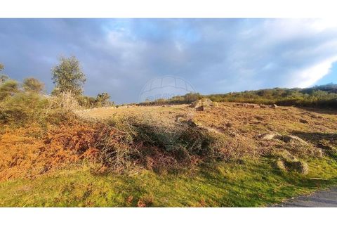Helårsgrund i Arcos de Valdevez, Viana do Castelo, Arcos de Valdevez - € 27.000 | Ref: 123331167-558 - foto 13
