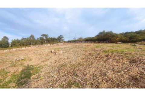 Helårsgrund i Arcos de Valdevez, Viana do Castelo, Arcos de Valdevez - € 27.000 | Ref: 123331167-558 - foto 15