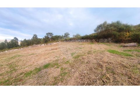 Helårsgrund i Arcos de Valdevez, Viana do Castelo, Arcos de Valdevez - € 27.000 | Ref: 123331167-558 - foto 17