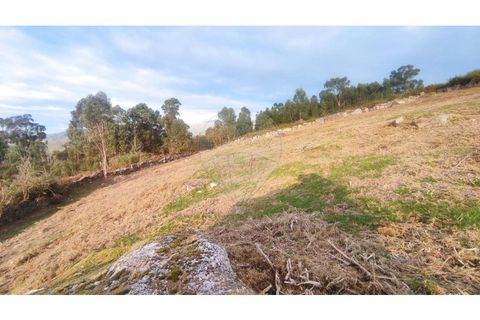 Helårsgrund i Arcos de Valdevez, Viana do Castelo, Arcos de Valdevez - € 27.000 | Ref: 123331167-558 - foto 18