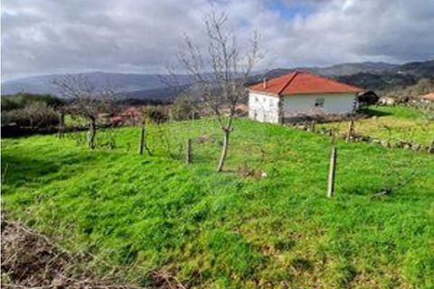Helårsgrund i Portela e Extremo, Viana do Castelo, Portela e Extremo - € 48.000 | Ref: 123331167-559 - foto 4