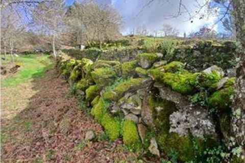Helårsgrund i Portela e Extremo, Viana do Castelo, Portela e Extremo - € 48.000 | Ref: 123331167-559 - foto 13