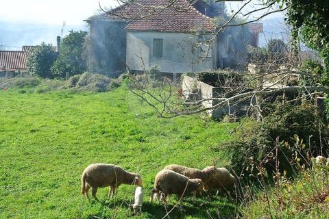 Villa i Ganfei, Viana do Castelo, Ganfei - € 78.000 | Ref: 123331212-79 - foto 23