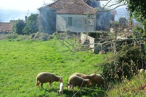 Villa i Ganfei, Viana do Castelo, Ganfei - € 78.000 | Ref: 123331212-79 - foto 34