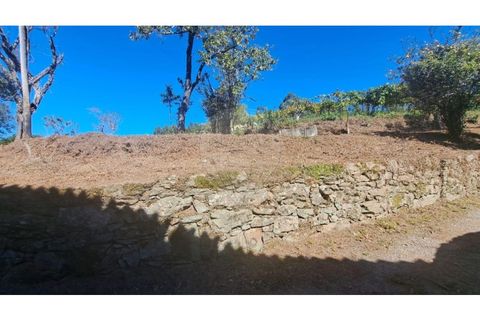 Villa i Ganfei, Viana do Castelo, Ganfei - € 78.000 | Ref: 123331212-79 - foto 36