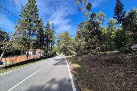 Helårsgrund i Guimaraes, Braga, Guimaraes - € 57.500 | Ref: 121751334-9 - foto 2