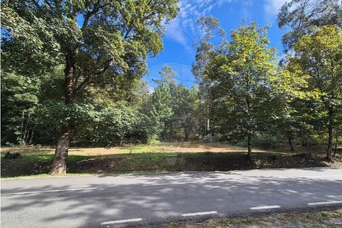Helårsgrund i Guimaraes, Braga, Guimaraes - € 57.500 | Ref: 121751334-9 - foto 3