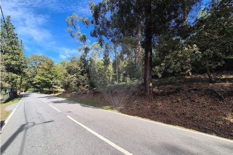 Helårsgrund i Guimaraes, Braga, Guimaraes - € 57.500 | Ref: 121751334-9 - foto 4