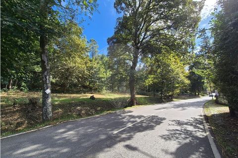 Helårsgrund i Guimaraes, Braga, Guimaraes - € 57.500 | Ref: 121751334-9 - foto 5