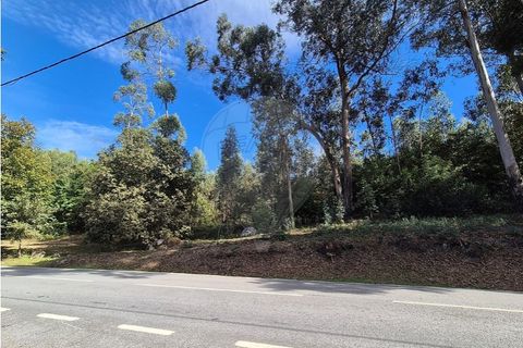 Helårsgrund i Guimaraes, Braga, Guimaraes - € 57.500 | Ref: 121751334-9 - foto 6