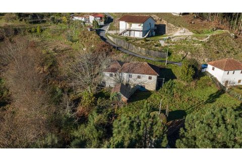 Farm i Cacarilhe e Infesta, Braga, Cacarilhe e Infesta - € 95.000 | Ref: 126221008-326 - foto 2
