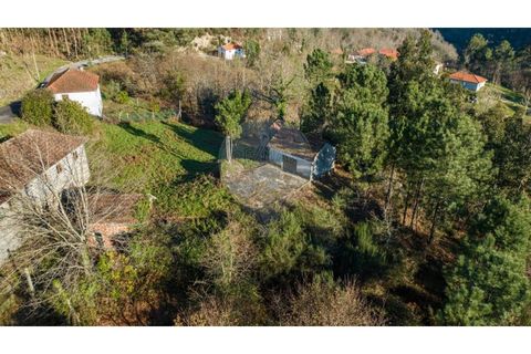 Farm i Cacarilhe e Infesta, Braga, Cacarilhe e Infesta - € 95.000 | Ref: 126221008-326 - foto 3