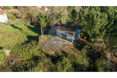 Farm i Cacarilhe e Infesta, Braga, Cacarilhe e Infesta - € 95.000 | Ref: 126221008-326 - foto 4
