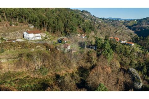 Farm i Cacarilhe e Infesta, Braga, Cacarilhe e Infesta - € 95.000 | Ref: 126221008-326 - foto 5
