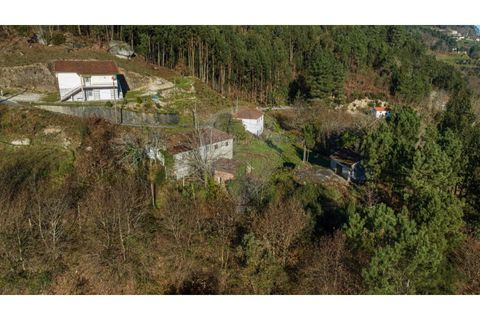 Farm i Cacarilhe e Infesta, Braga, Cacarilhe e Infesta - € 95.000 | Ref: 126221008-326 - foto 6