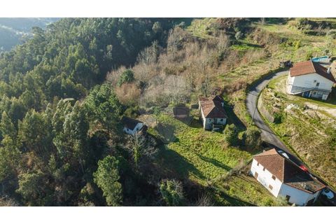 Farm i Cacarilhe e Infesta, Braga, Cacarilhe e Infesta - € 95.000 | Ref: 126221008-326 - foto 7