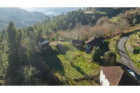 Farm i Cacarilhe e Infesta, Braga, Cacarilhe e Infesta - € 95.000 | Ref: 126221008-326 - foto 8