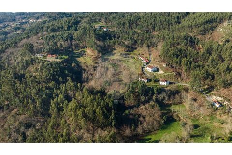 Farm i Cacarilhe e Infesta, Braga, Cacarilhe e Infesta - € 95.000 | Ref: 126221008-326 - foto 9